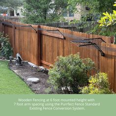 a fenced in yard with trees and bushes