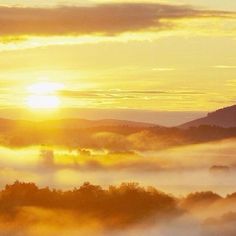 the sun is setting over some trees and hills in the foggy valley with low lying clouds