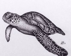 a black and white drawing of a turtle