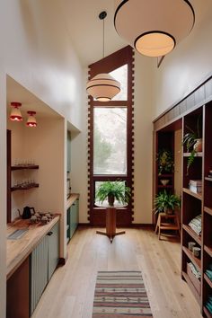 a room with wooden floors and shelves filled with plants on top of each shelf in front of a large window