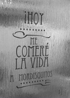 a metal sign that says hoy me comer lavida mordsquitos