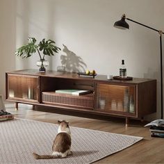 a cat sitting on the floor in front of a wooden entertainment center with bookshelf