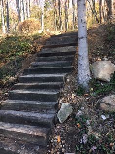 there are many steps that lead up to the top of this hill in the woods