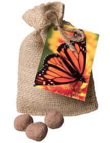 a bag full of chocolates with a butterfly on the front and two balls in the back