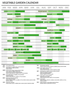 the vegetable garden calendar is shown with green and white lines, including numbers for each month