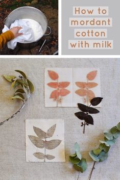 how to make modern cotton with milkcloths and leaves from the book'how to mordant cotton with milkcloth '