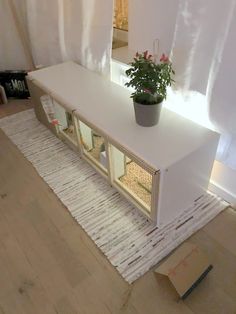 a plant sitting on top of a white cabinet next to a window with sheer curtains