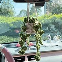 the interior of a car with a hanging plant