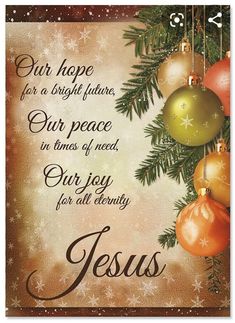 a christmas card with ornaments hanging from it's sides and the words, our hope for