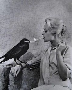 Tippi Hedren and one of her co-stars on the set of Birds, 1963 Lise Sarfati, Philippe Halsman, Tippi Hedren, A Crow, Foto Art, Alfred Hitchcock, The Birds, Black Bird, White Photography