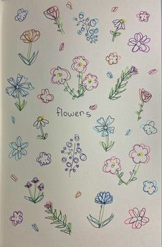 an open book with flowers drawn on the pages and colored pencils in each section