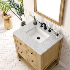 a bathroom with a sink, mirror and plants on the counter top in front of it