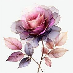 a pink rose with purple leaves on a white background