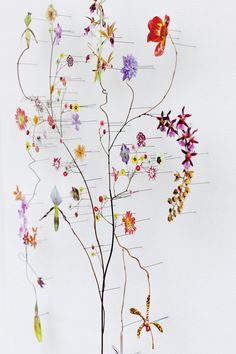 an arrangement of colorful flowers on a white background with lines in the backround