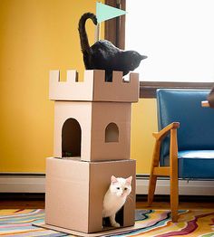 two cats sitting on top of cardboard boxes in front of a cat house and chair