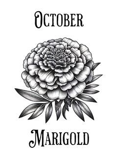 a black and white drawing of a flower with the word october in it's center