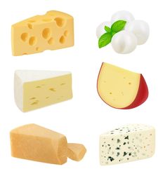 different types of cheeses are shown on a white background