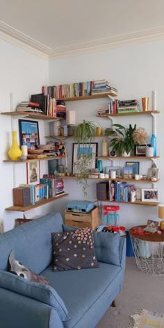 a living room filled with furniture and lots of books on the shelves next to each other