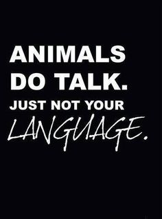 an animal quote with the words animals do talk just not your language on black background