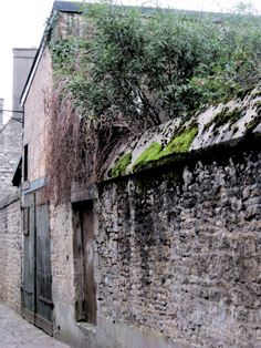 an alley way with a brick building and green plants growing on the side of it