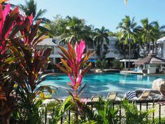 an outdoor swimming pool surrounded by palm trees