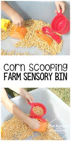 corn scooping and sorting activity for toddlers to use in the garden or on the farm