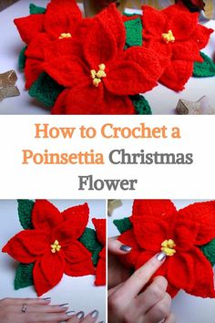 how to crochet a poinsettia christmas flower