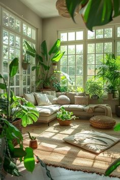 a living room filled with lots of plants next to large windows on top of a wooden floor