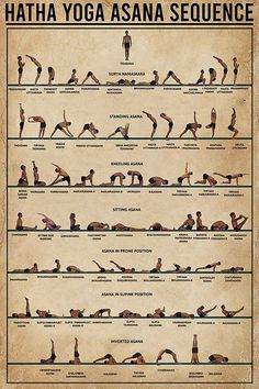 "Fitness exercises designed to improve flexibility and mobility, promoting better muscle and joint health. 🏋️‍♀️🧘‍♂️" Hata Yoga, Jnana Yoga, Yoga Facts, Yoga Guide, Yoga Sequence, Yoga Posen, Chakra Yoga, Relaxing Yoga, Easy Yoga Workouts