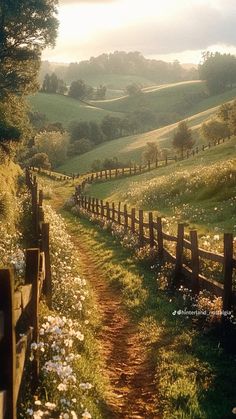 a dirt road that is next to a field with grass and flowers on the side