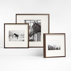 three framed photographs of horses in front of a window with the horse looking out from behind them