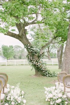 an outdoor ceremony set up with chairs and flowers on the ground under a large tree