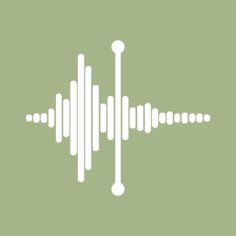 an audio wave is shown in white on a green background with the words sound waves