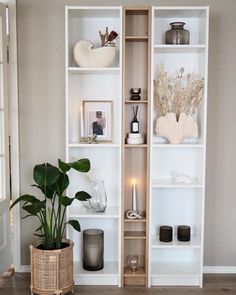 a living room filled with lots of white shelves and plants on top of each shelf