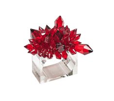 a glass vase with red crystals in it