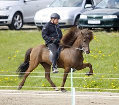 a man riding on the back of a brown horse next to a lush green field