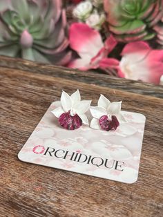 two white and pink flowers are on top of a card with the words orchidique