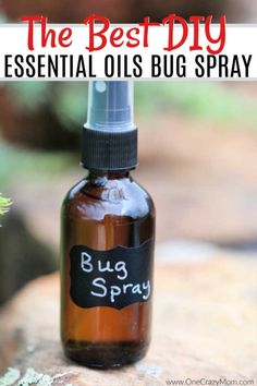 Insect Spray Essential Oils, Best Bug Repellent, Cafeteria Kitchen, Purification Oil, Diy Bug Repellent, Bar Pictures