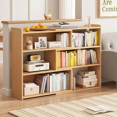 a living room filled with furniture and a book shelf