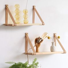 two wooden shelves with vases and plants on them, one holding a light bulb