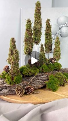 a wooden table topped with pine cones and trees