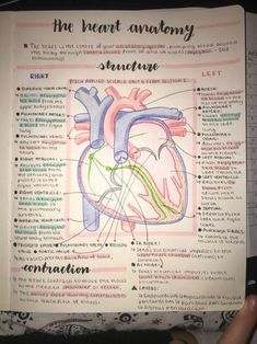 an open book showing the anatomy of the heart