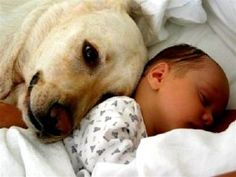 a baby and a dog laying next to each other on a bed with the caption above it