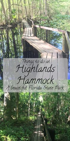 a wooden bridge in the woods with text overlay that reads things to do at highland's hammock beautiful florida state park