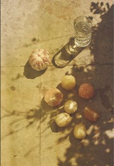 an overhead view of some nuts and a glass on the ground next to a tree