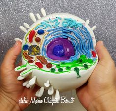 a hand holding a small model of an animal's eye in white and blue