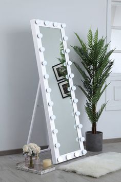 a large white mirror sitting on top of a floor next to a potted plant