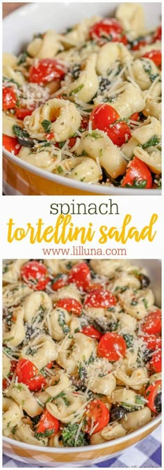 spinach tortellini salad with tomatoes and cheese