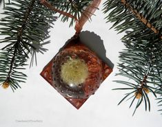 a glass ornament hanging from a pine tree