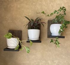 three planters are on the wall and one is holding a potted plant in it